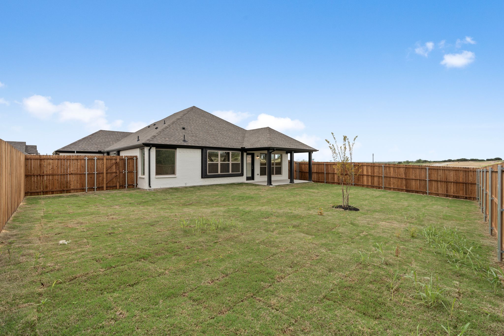 The Almont Plan 19